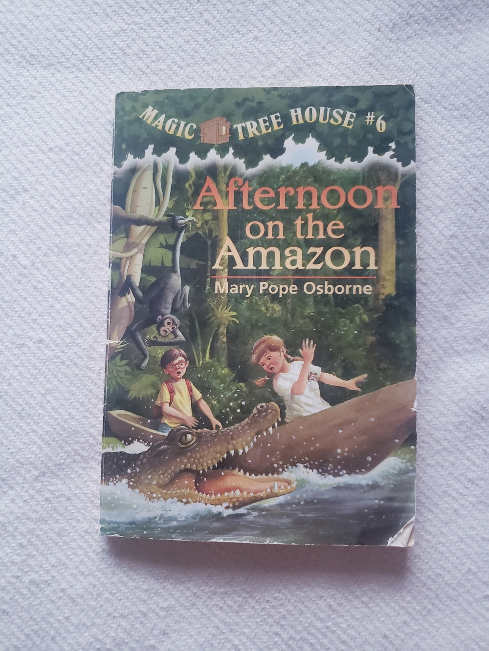 Magic Tree House Books - Picture 3 of 15